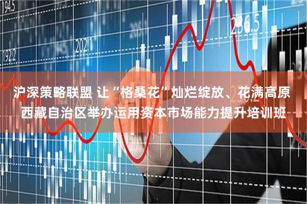 沪深策略联盟 让“格桑花”灿烂绽放、花满高原 西藏自治区举办运用资本市场能力提升培训班