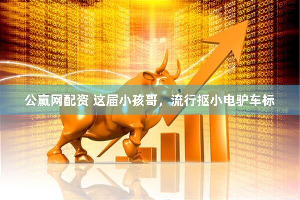 公赢网配资 这届小孩哥，流行抠小电驴车标