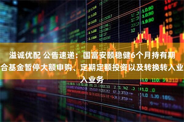 溢诚优配 公告速递：国富安颐稳健6个月持有期混合基金暂停大额申购、定期定额投资以及转换转入业务