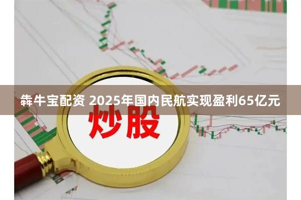 犇牛宝配资 2025年国内民航实现盈利65亿元